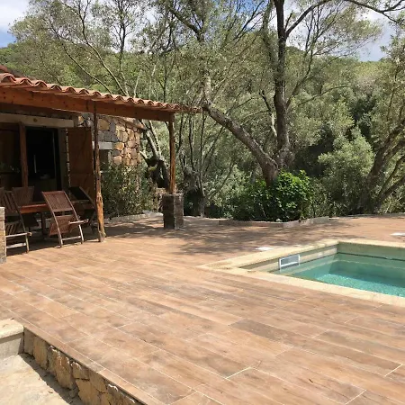 Aglio Olmeto (Corsica)